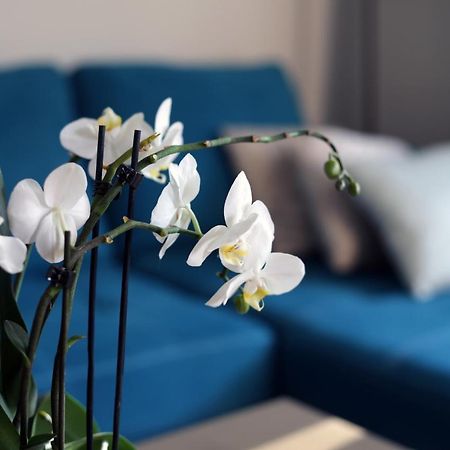 Apartament Turkus Szczecin Exterior foto